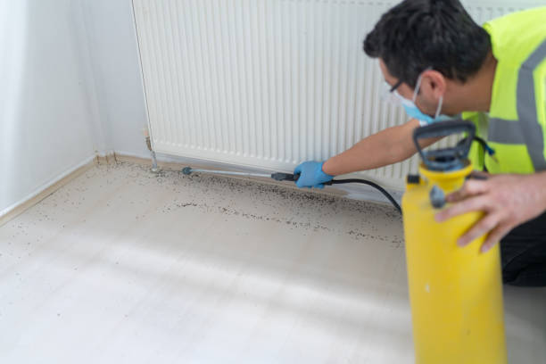 Best Local Pest Control Services  in Rincon Valley, AZ